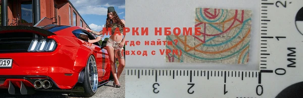 шишки Белоозёрский