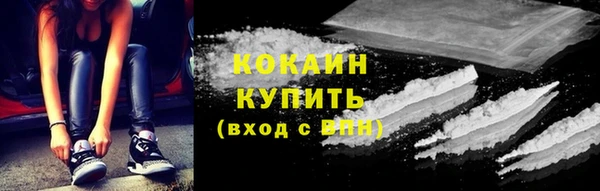 шишки Белоозёрский