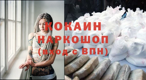 шишки Белоозёрский