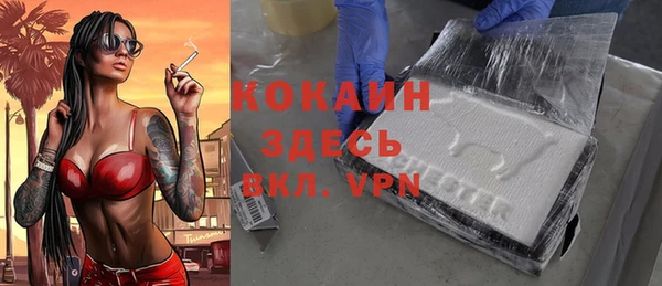 шишки Белоозёрский