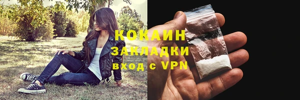 шишки Белоозёрский