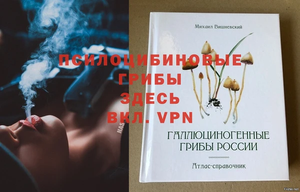 MDMA Premium VHQ Белокуриха