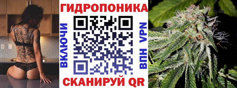 Бошки Шишки сатива Шахунья